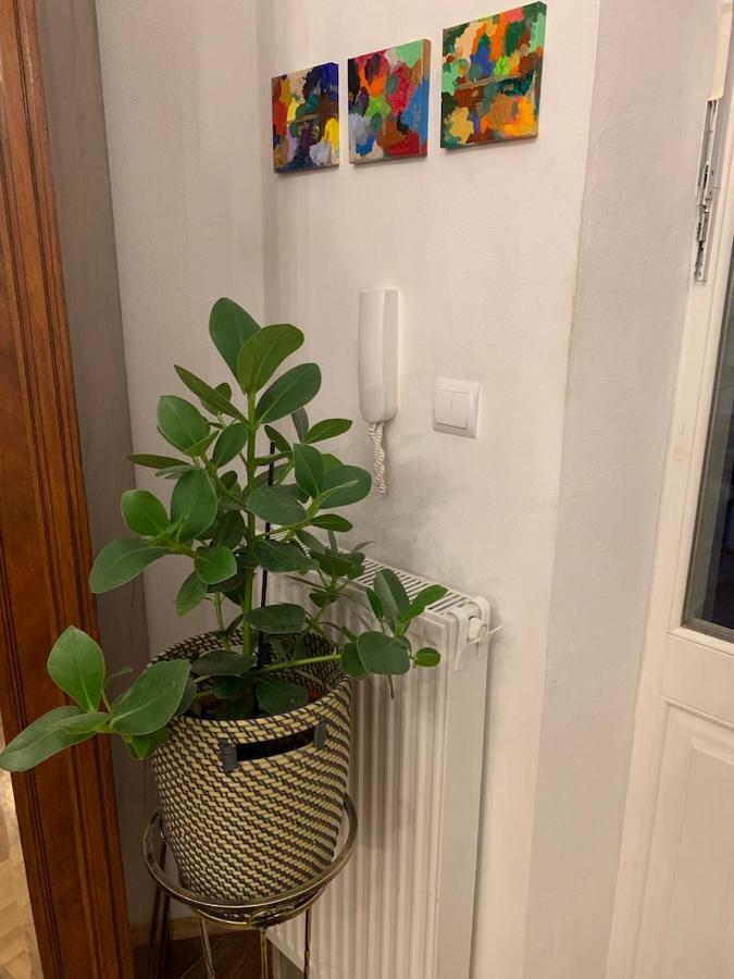 Charming Studio Apartment In The Heart Of The Jewish District! クラクフ エクステリア 写真